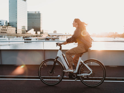 De nieuwste QWIC e-bikes: welke past bij jou?