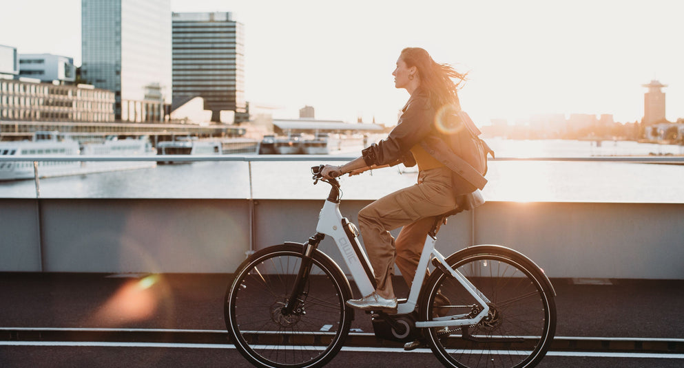 De nieuwste QWIC e-bikes: welke past bij jou?