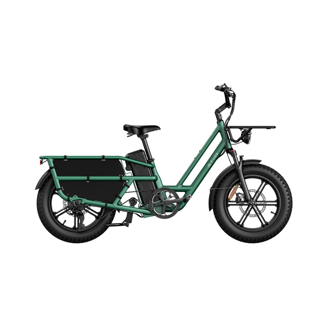 Fiido T2 Longtail Cargo E-bike