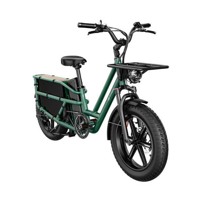 Fiido T2 Longtail Cargo E-bike