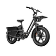 Fiido T2 Longtail Cargo E-bike